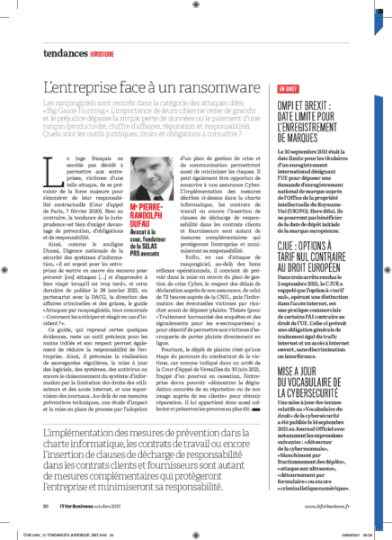 Read more about the article L’entreprise face à un ransomware